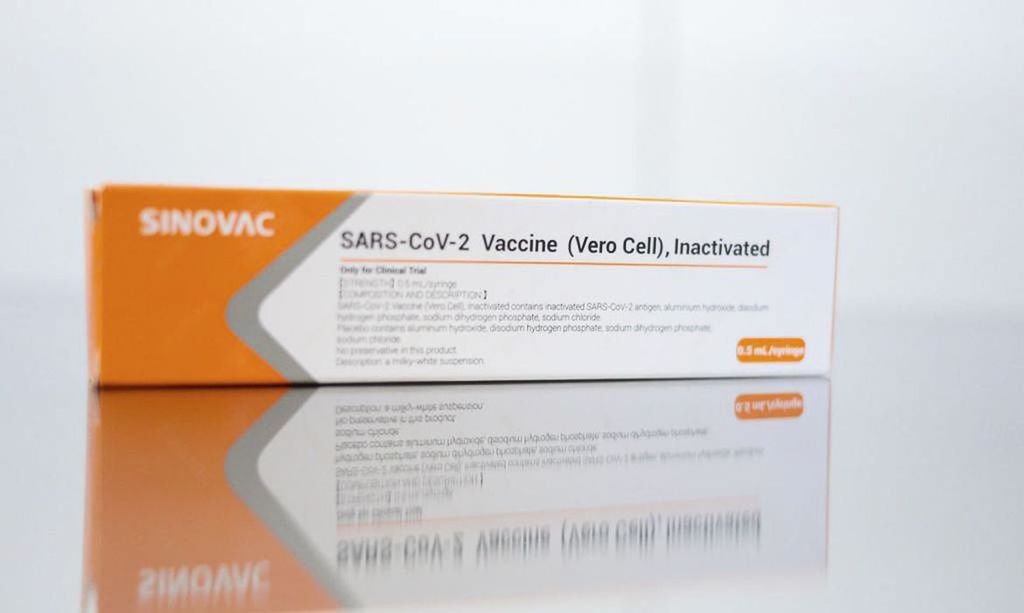CoronaVac | Anvisa analisa pedido de uso emergencial da vacina contra a  COVID-19 - Canaltech