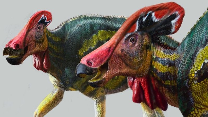 El dinosaurio con cresta encontrado en México era silencioso pero ruidoso